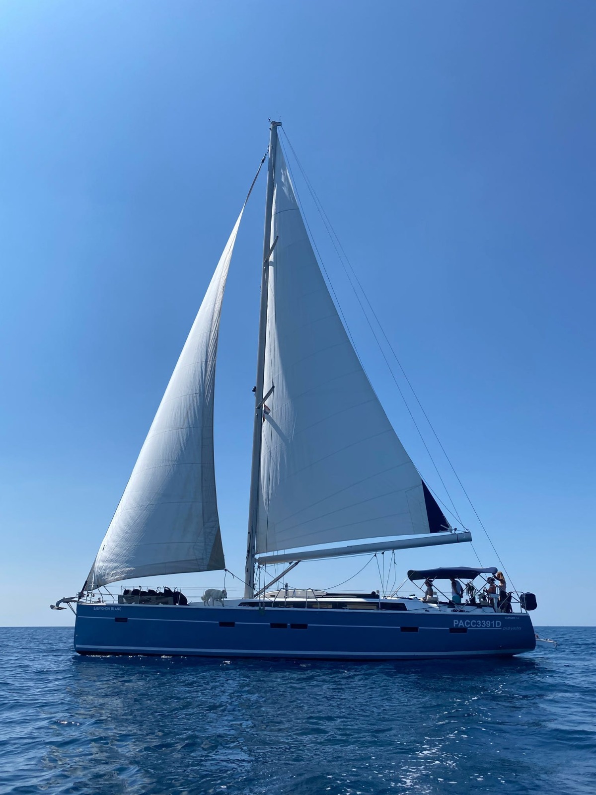 Photo #7 - D&D Kufner 54 (Sauvignon Blanc) en Trogir - 43542
