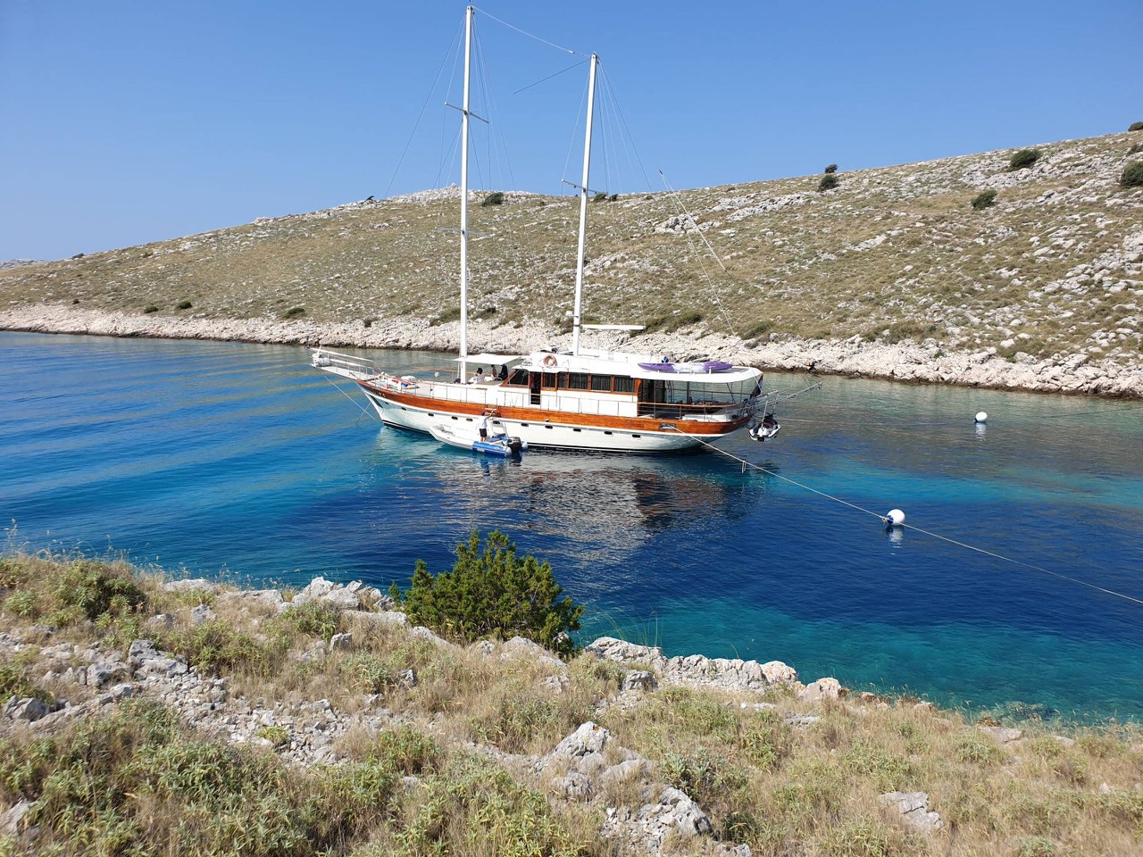 Photo #1 - Vito (Vito) in Split - 43638