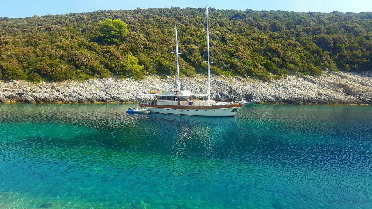 Photo #3 - Vito (Vito) in Split - 43638