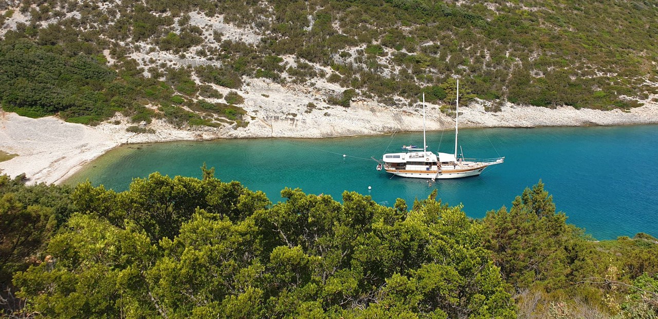 Photo #5 - Vito (Vito) in Split - 43638