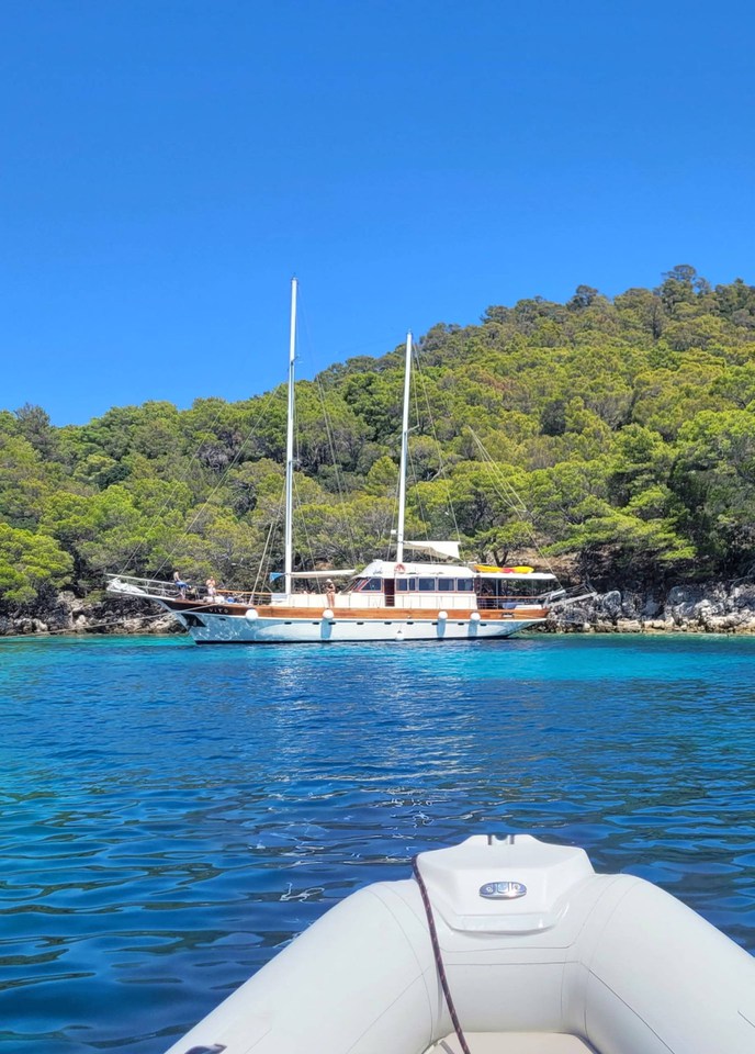 Photo #6 - Vito (Vito) in Split - 43638