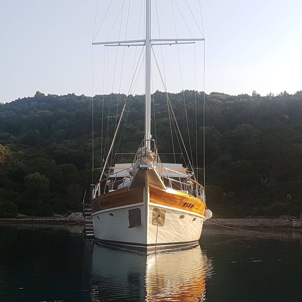 Photo #8 - Vito (Vito) in Split - 43638