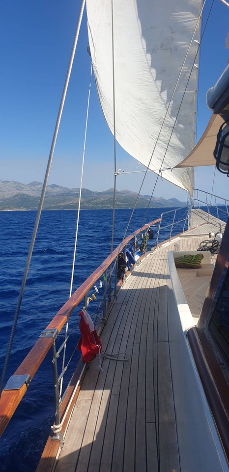 Photo #10 - Vito (Vito) in Split - 43638