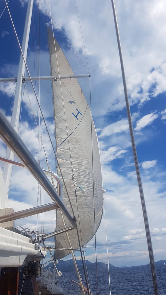Photo #11 - Vito (Vito) in Split - 43638