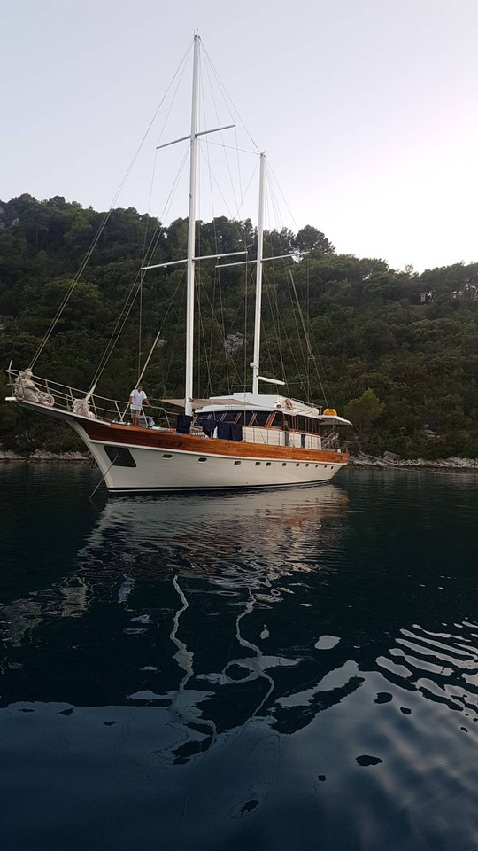 Photo #13 - Vito (Vito) in Split - 43638