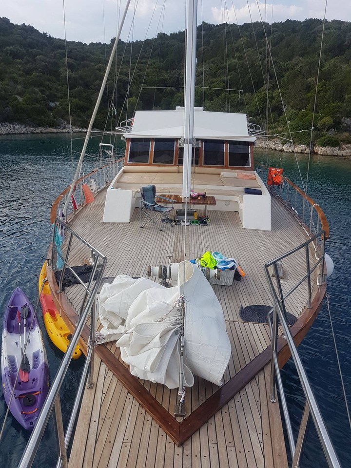 Photo #15 - Vito (Vito) in Split - 43638