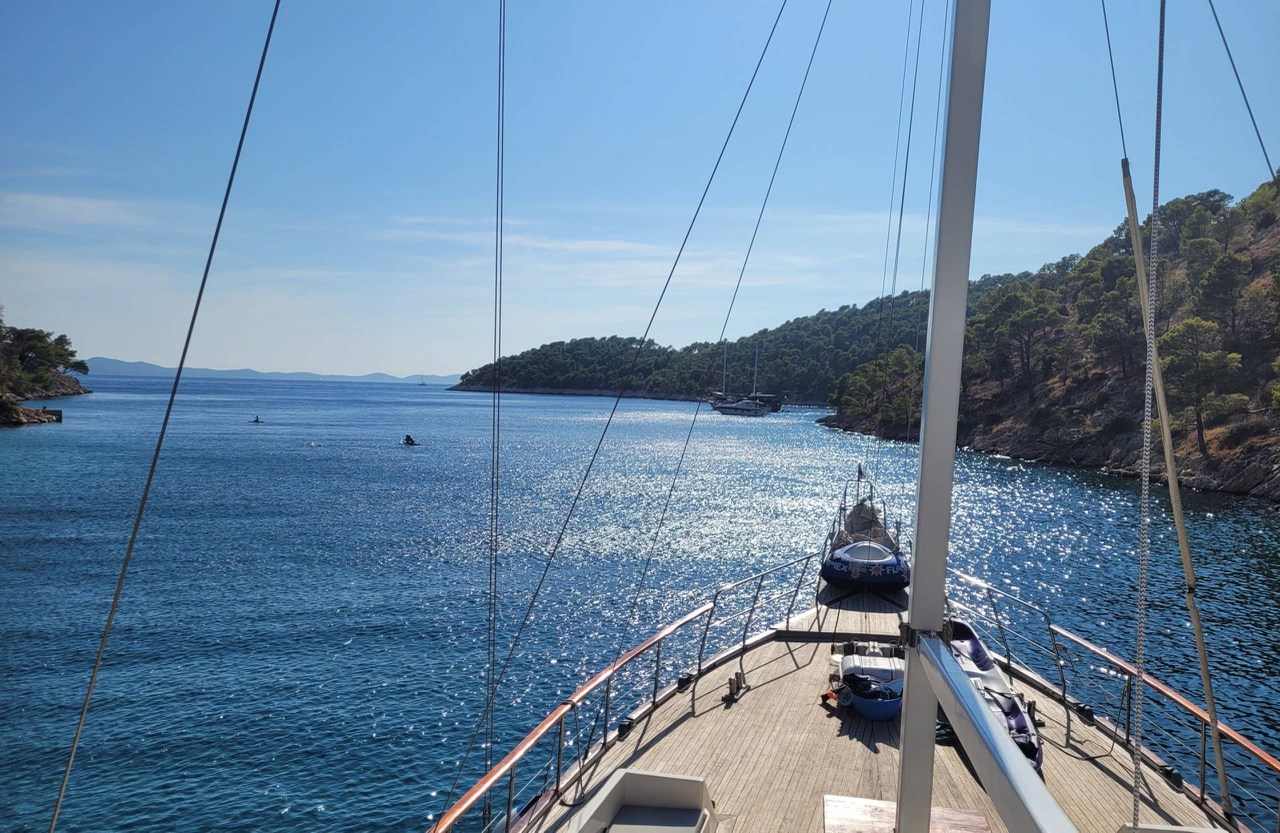 Photo #18 - Vito (Vito) in Split - 43638