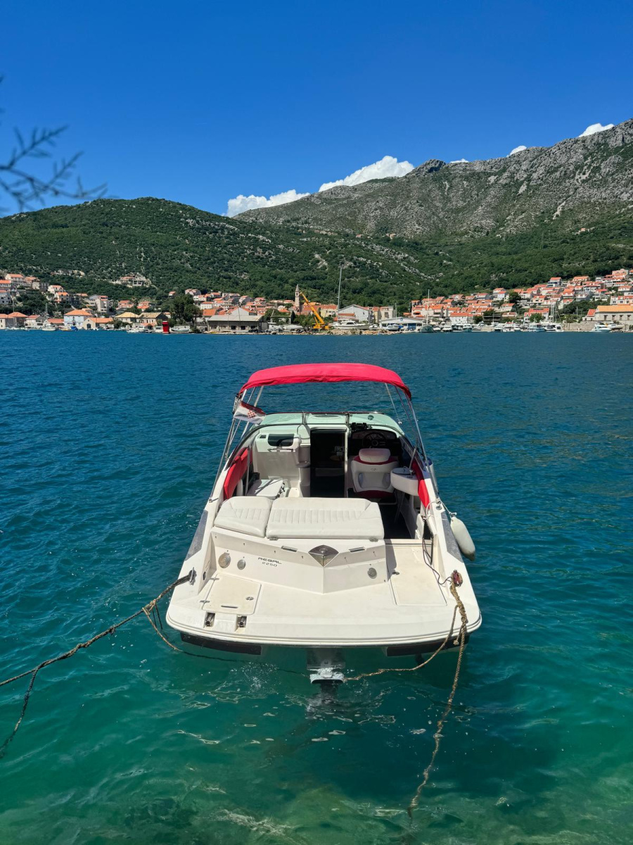 Photo #4 - Regal 2250 Cuddy (Red Hood) in Split - 43679