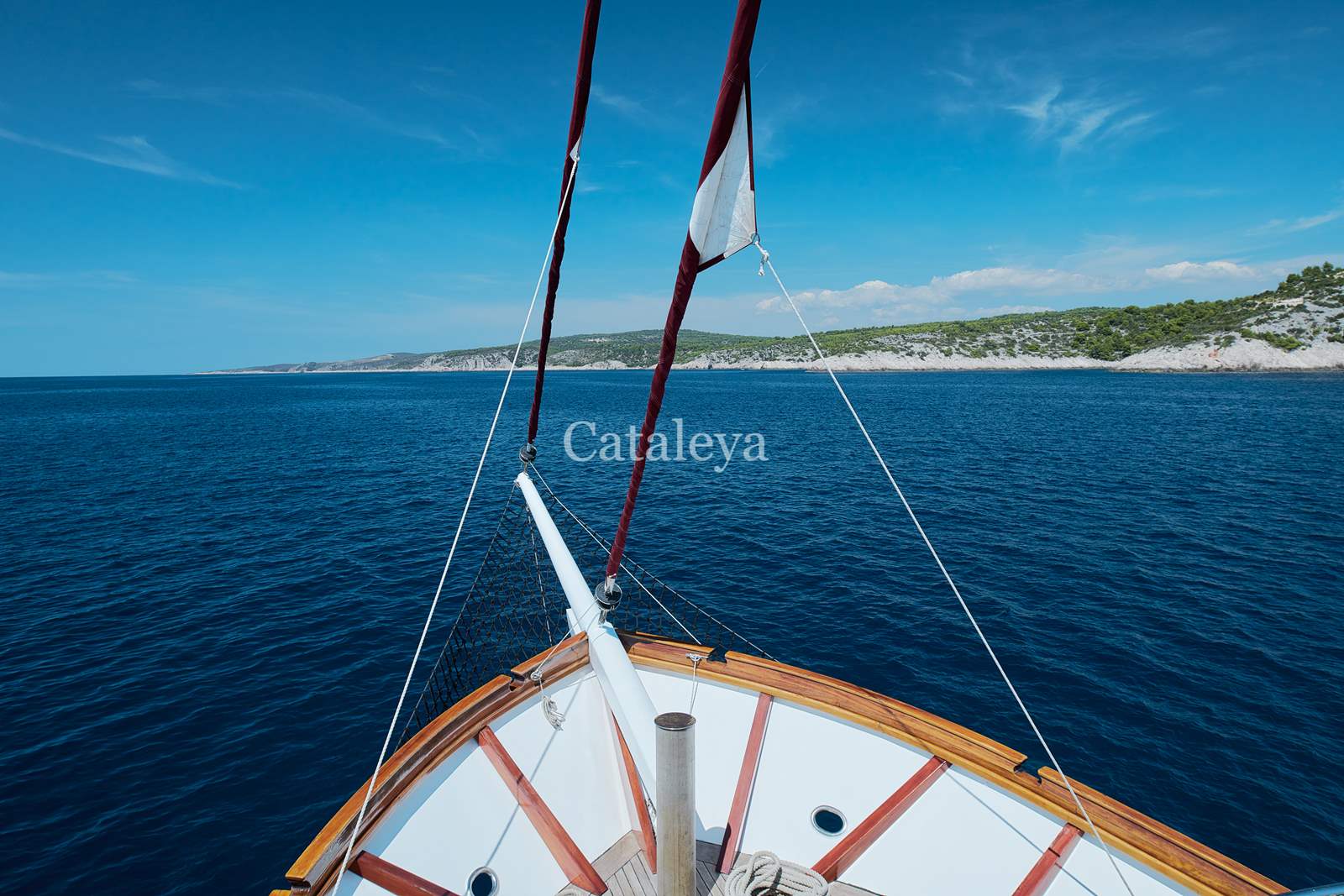Photo #33 - Cataleya (Cataleya) in Sumpetar - 61225