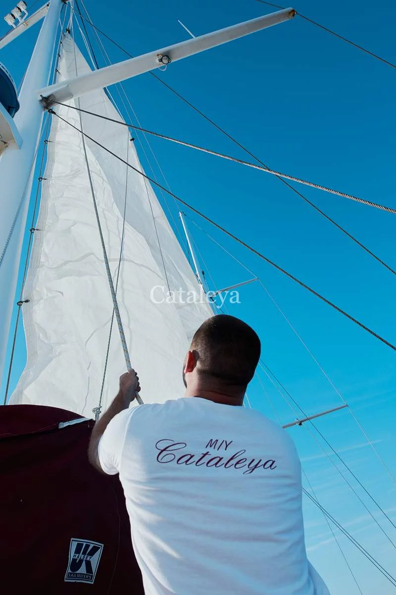 Cataleya (Cataleya)  - 2