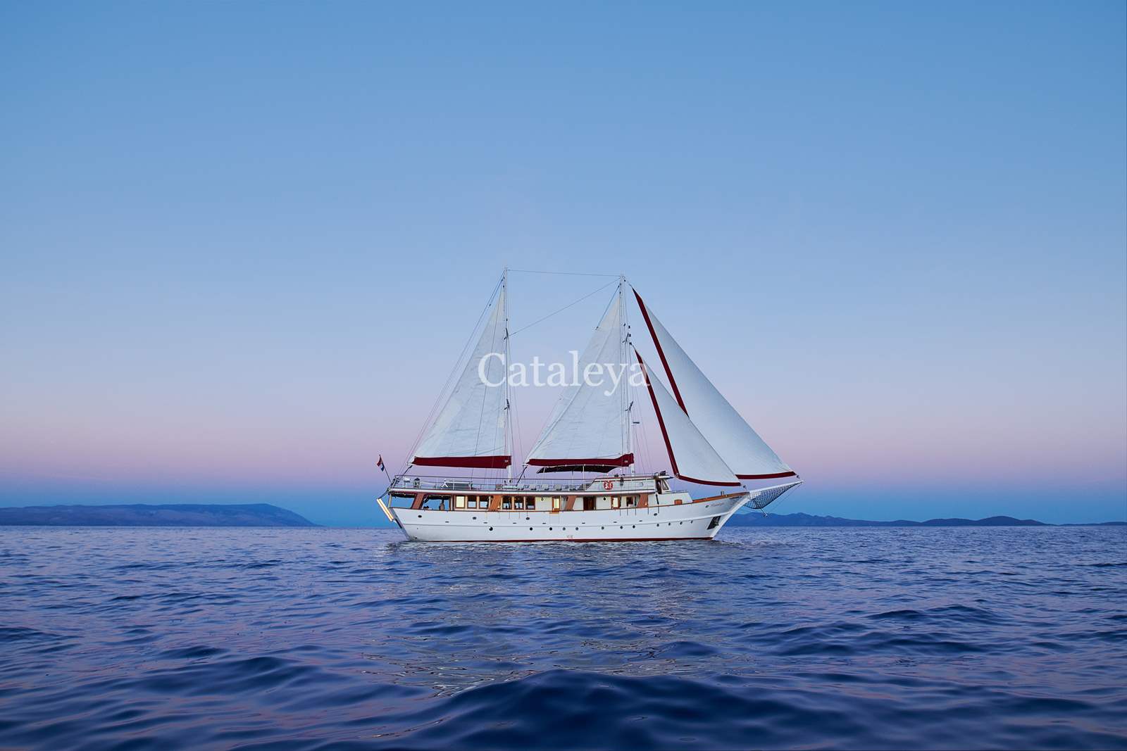 Photo #9 - Cataleya (Cataleya) in Sumpetar - 61225