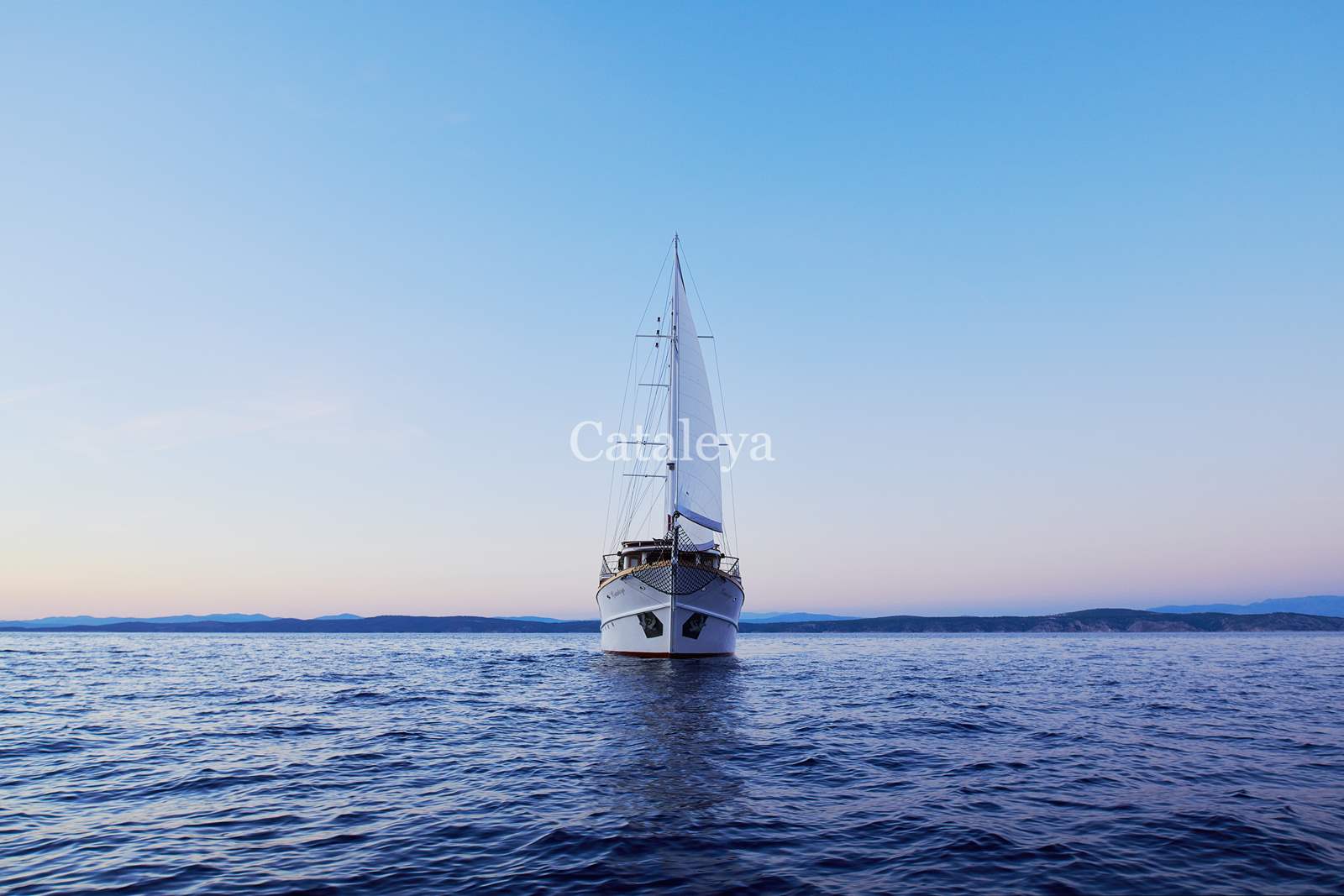 Photo #10 - Cataleya (Cataleya) in Sumpetar - 61225