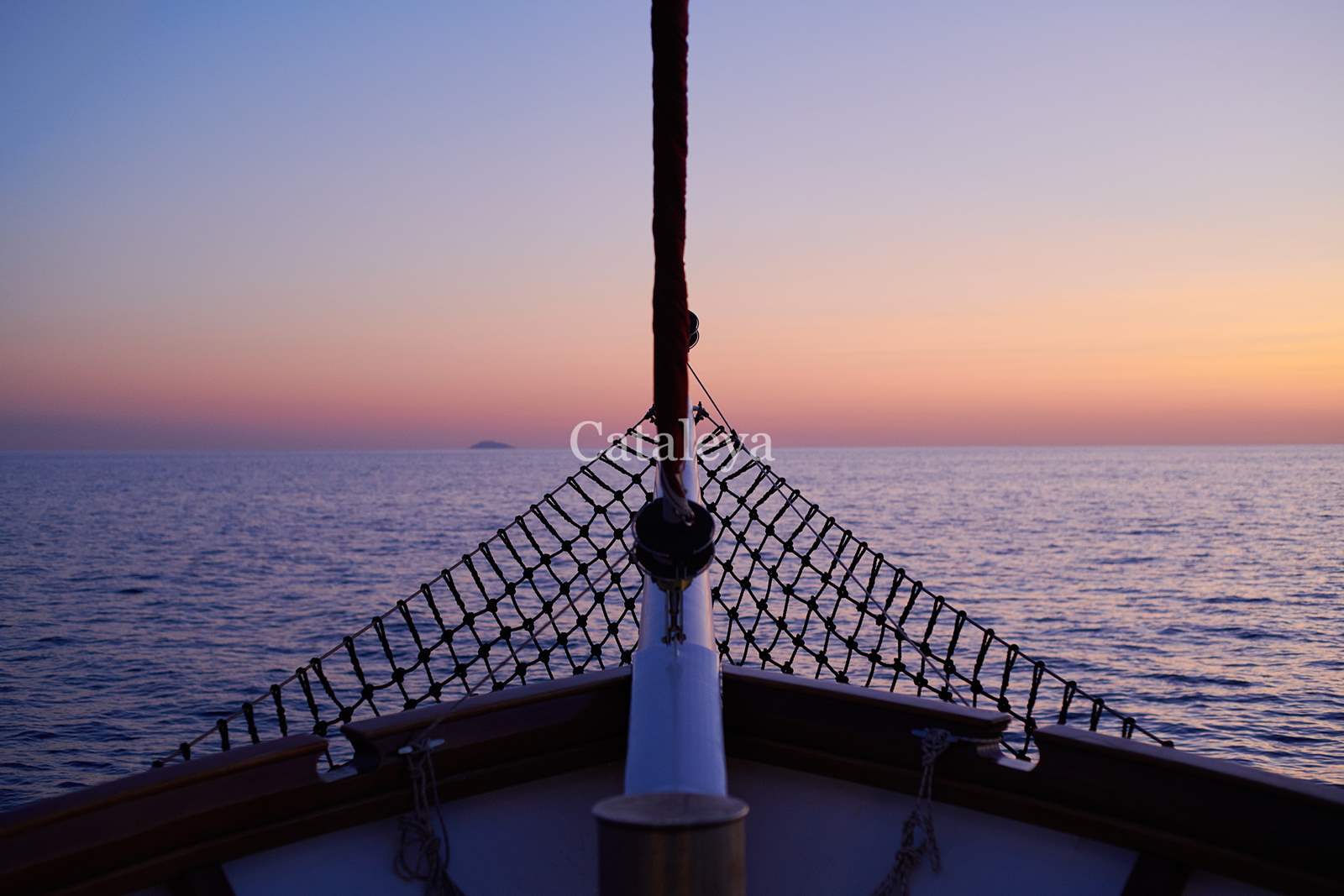 Photo #13 - Cataleya (Cataleya) in Sumpetar - 61225
