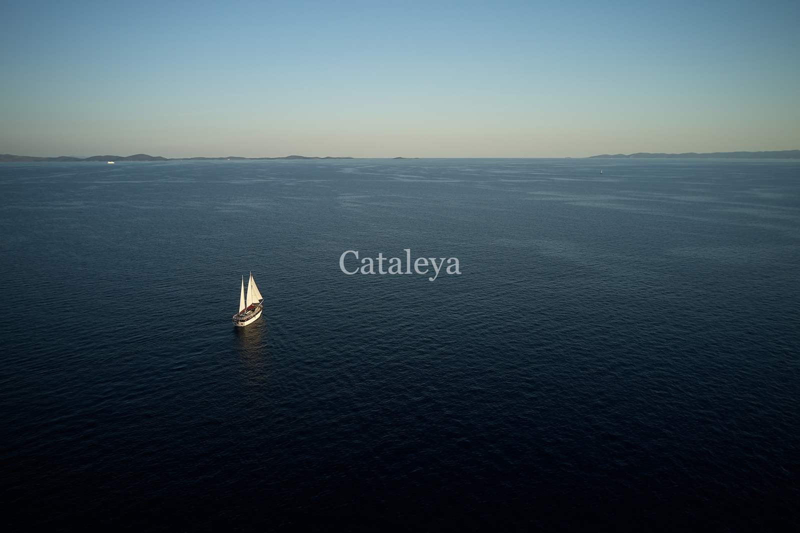 Photo #14 - Cataleya (Cataleya) in Sumpetar - 61225