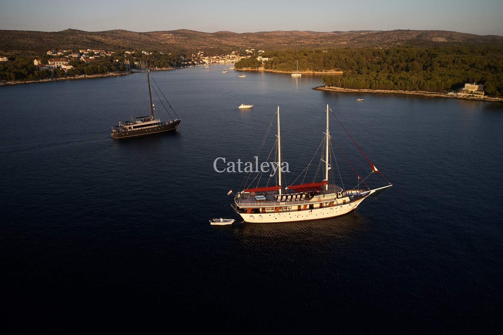 Photo #17 - Cataleya (Cataleya) in Sumpetar - 61225