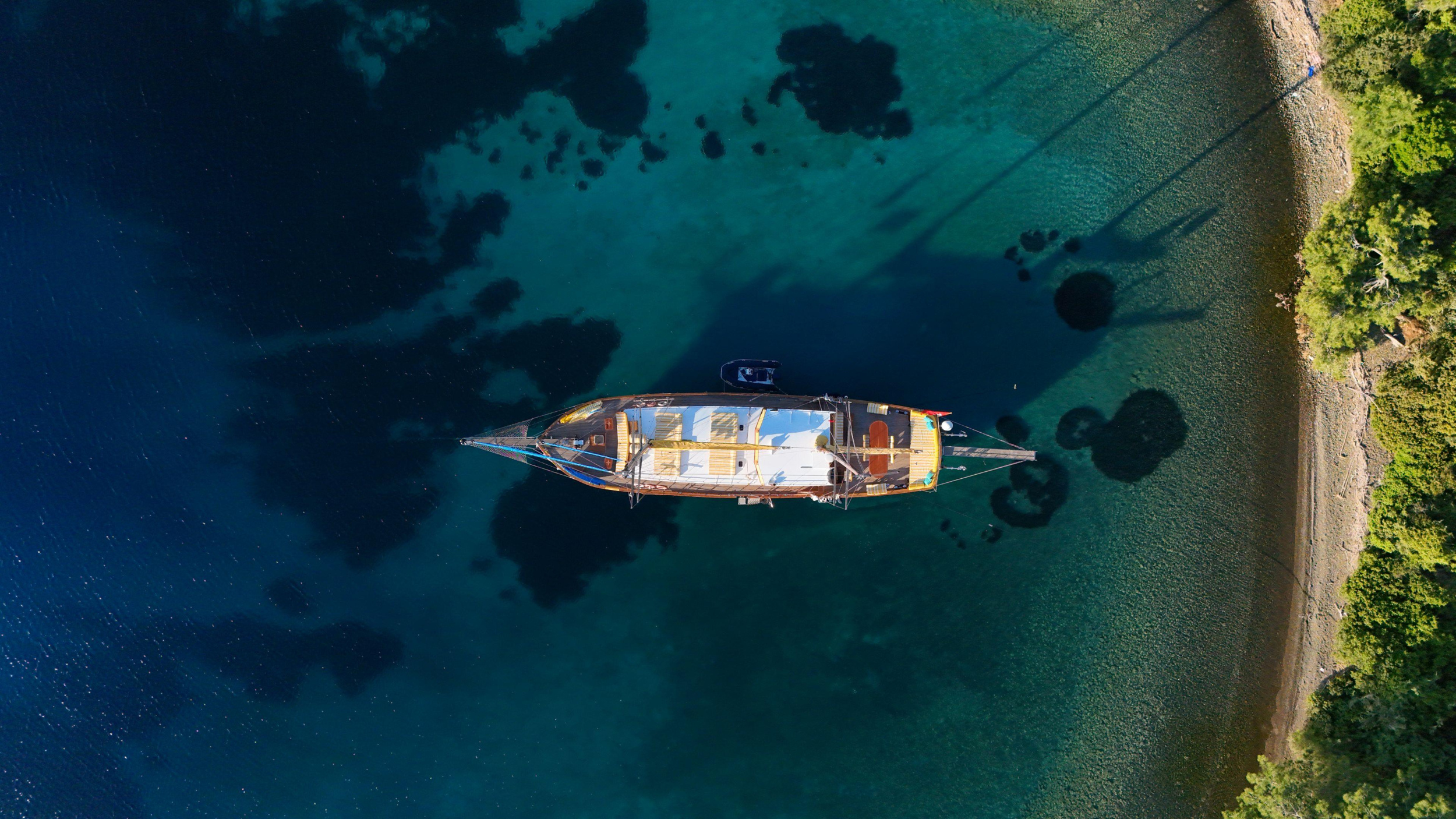 Photo #15 - Fortuna* (Fortuna) in Bodrum - 61338