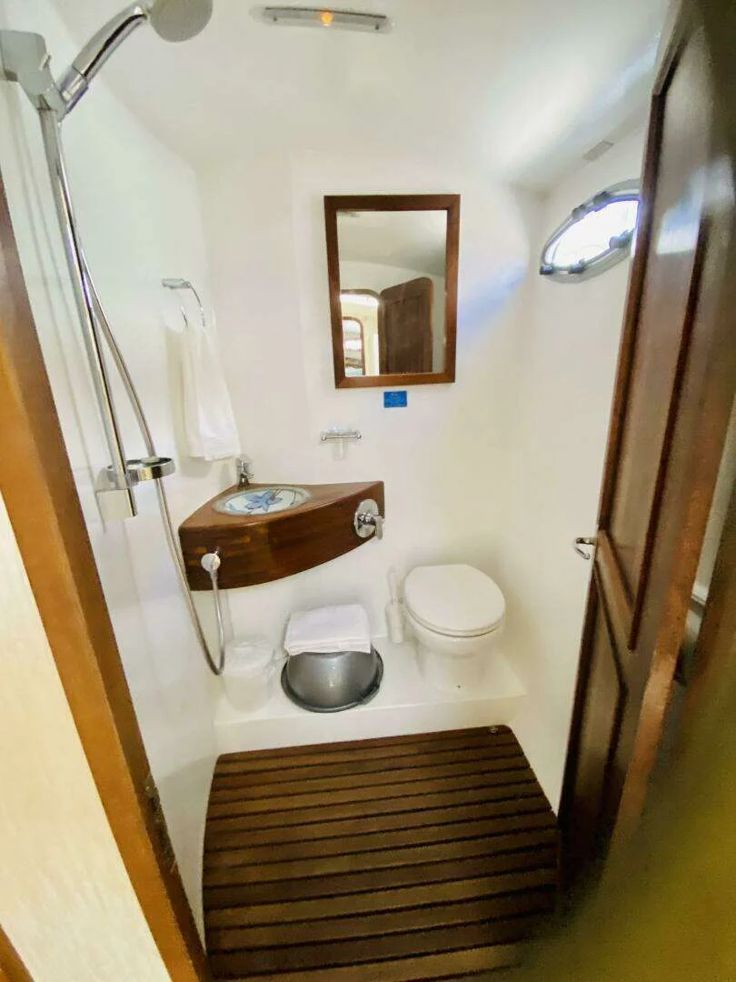 Sea-Tribe DH550 (Valerie)  - 1