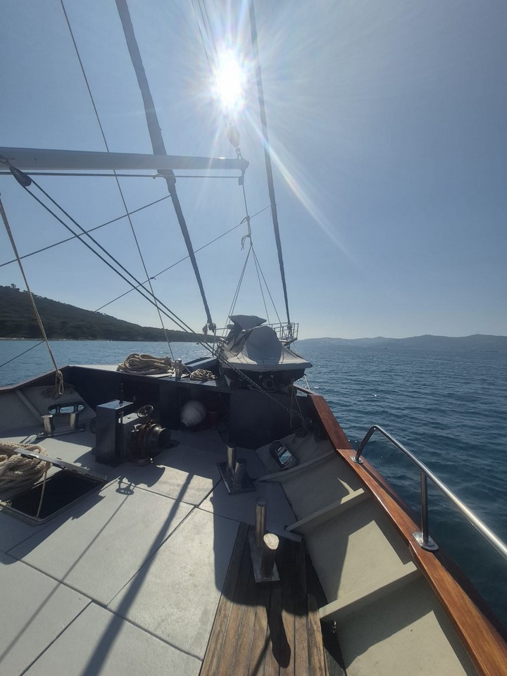 Photo #10 - Barba (Barba) in Split - 61518