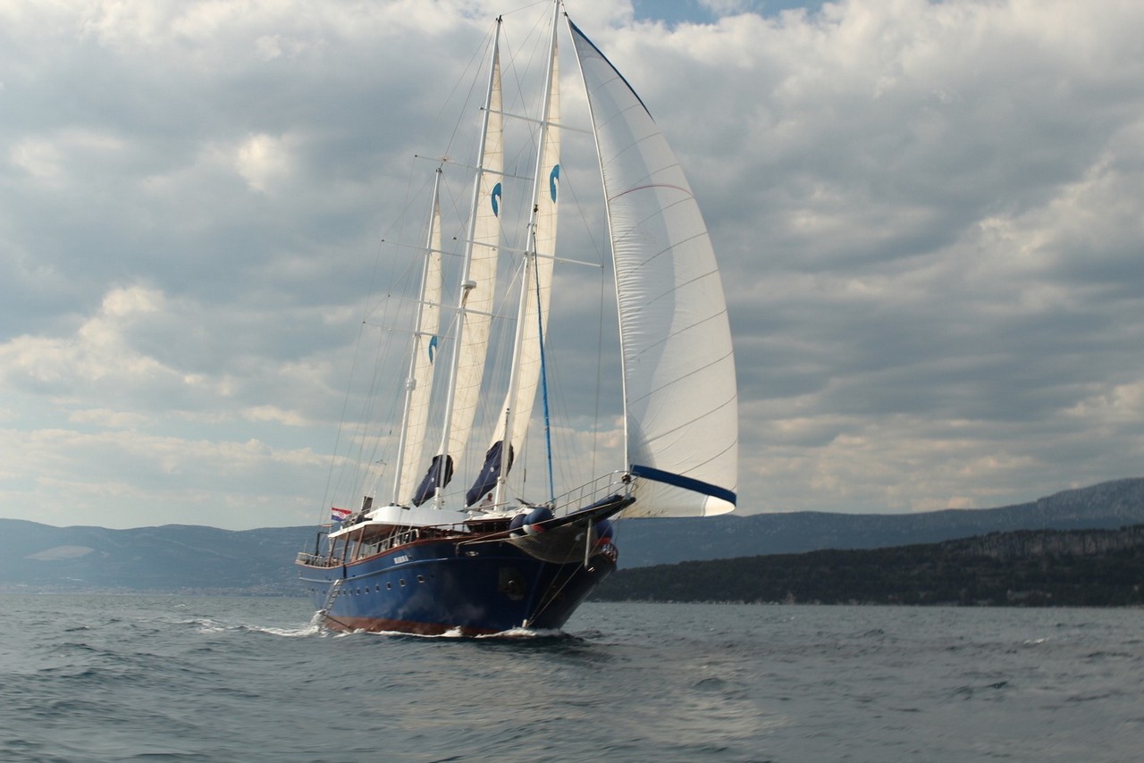 Photo #14 - Barba (Barba) in Split - 61518