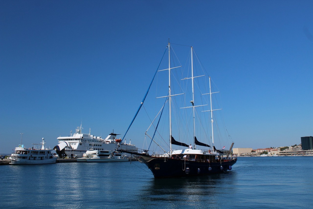 Photo #17 - Barba (Barba) in Split - 61518