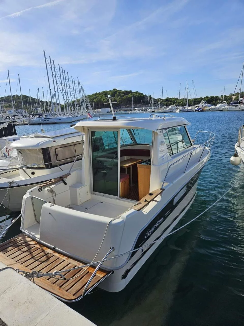 Ocqueteau 815 Range Cruiser (Range Cruiser)  - 3