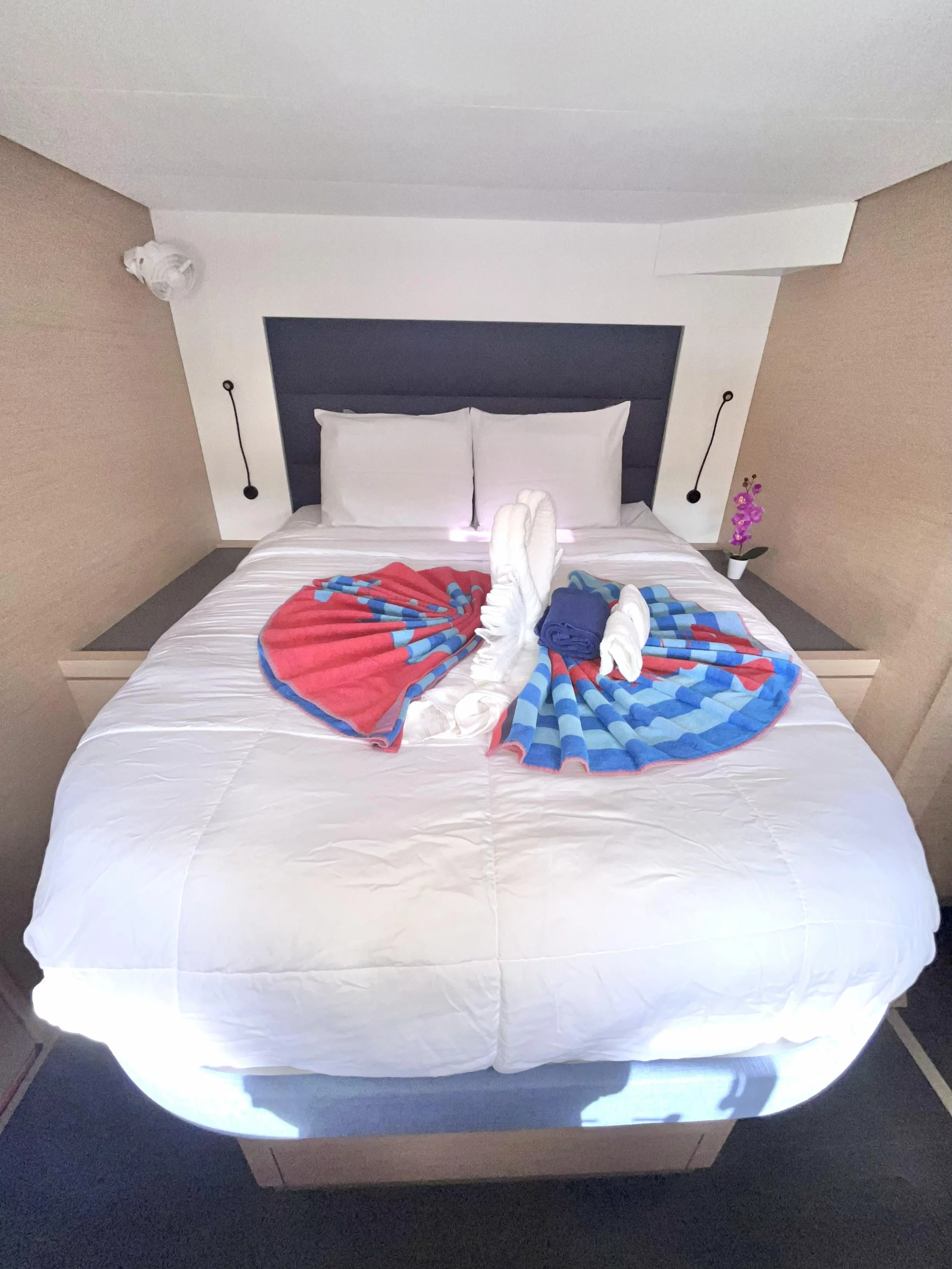 Fountaine Pajot Tanna 47 - 5 + 1 cab. (Blue Vibes)  - 10