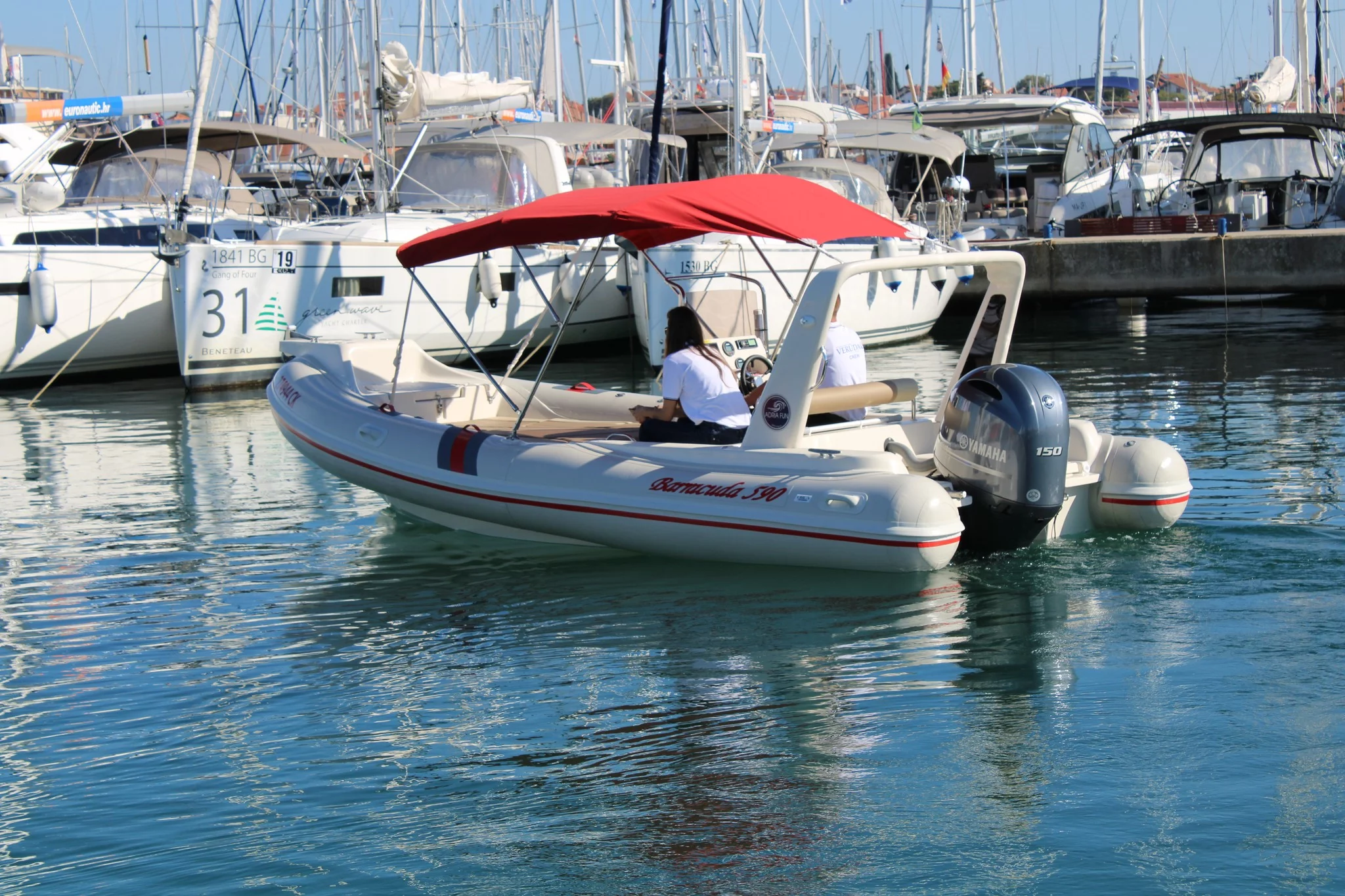 Barracuda 590 (Barracuda 590 - 12)  - 5