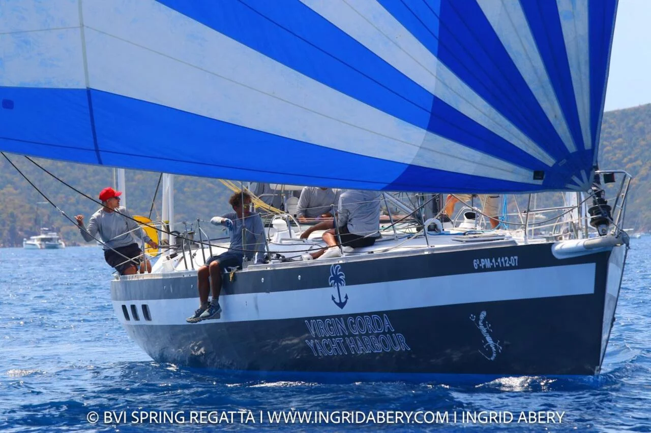 Cigale 16 (Sargantal Zulu)  - 4