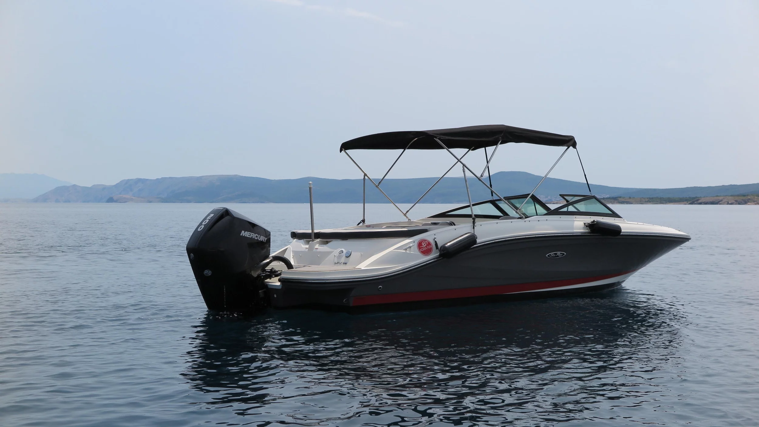 Sea Ray SPX 210 (Sea Ray SPX 210)  - 11