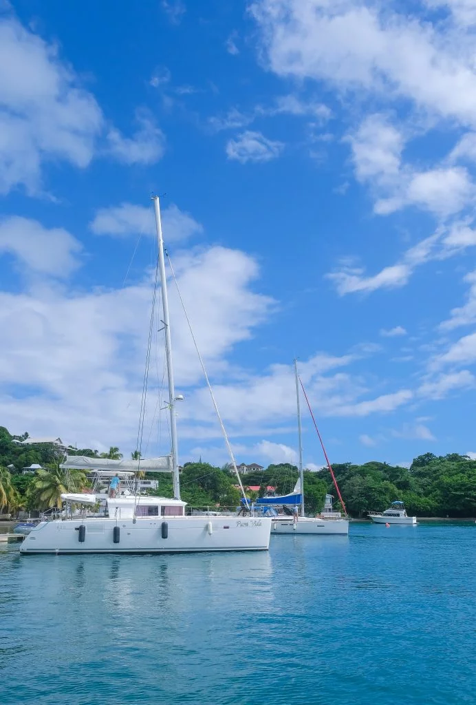 Lagoon 450 - 4 cab. (Pura Vida)  - 2
