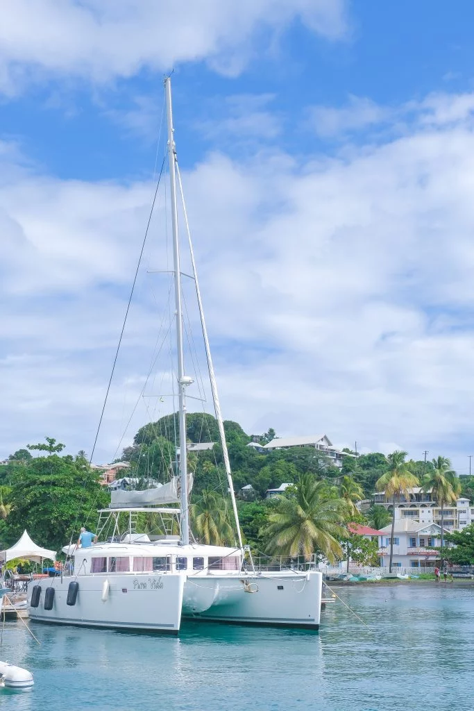 Lagoon 450 - 4 cab. (Pura Vida)  - 12