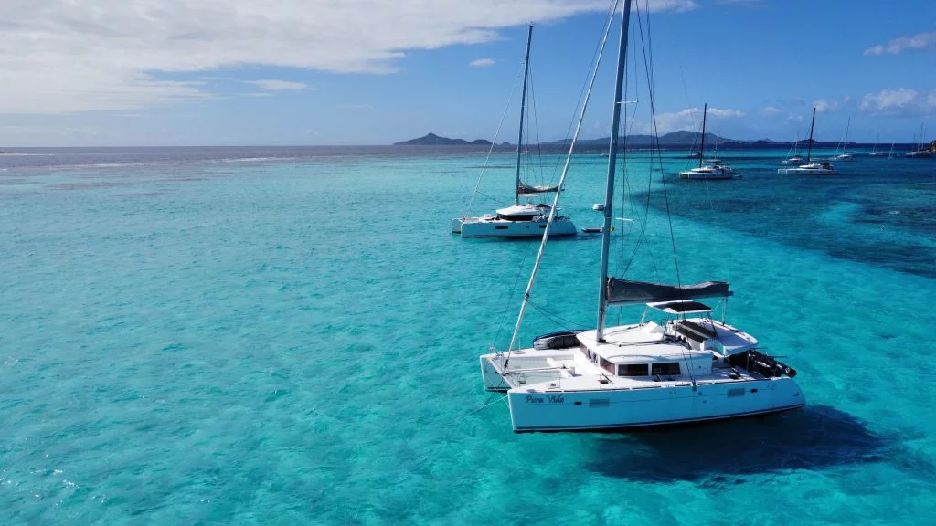 Lagoon 450 - 4 cab. (Pura Vida)  - 15
