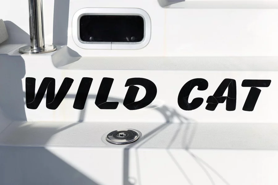 Lagoon 40 - 4 + 2 cab (Wild Cat)  - 15