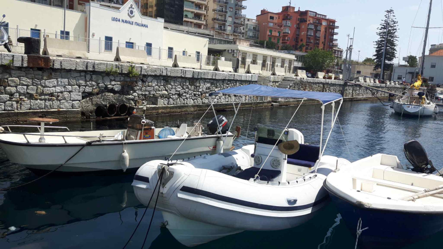 Photo #1 - Predator 590 (PIPPO) in  - 51614