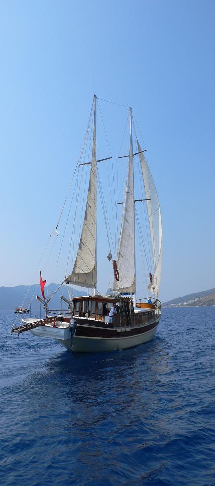Photo #15 - Gulet (20-3 REMO) in Bodrum - 50637