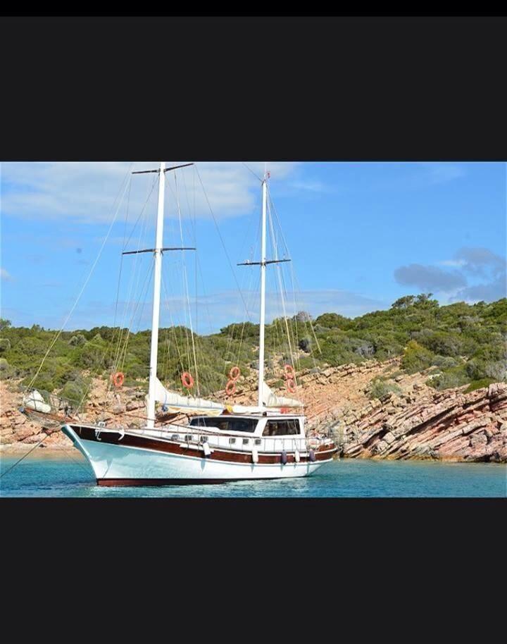 Photo #16 - Gulet (20-3 REMO) in Bodrum - 50637