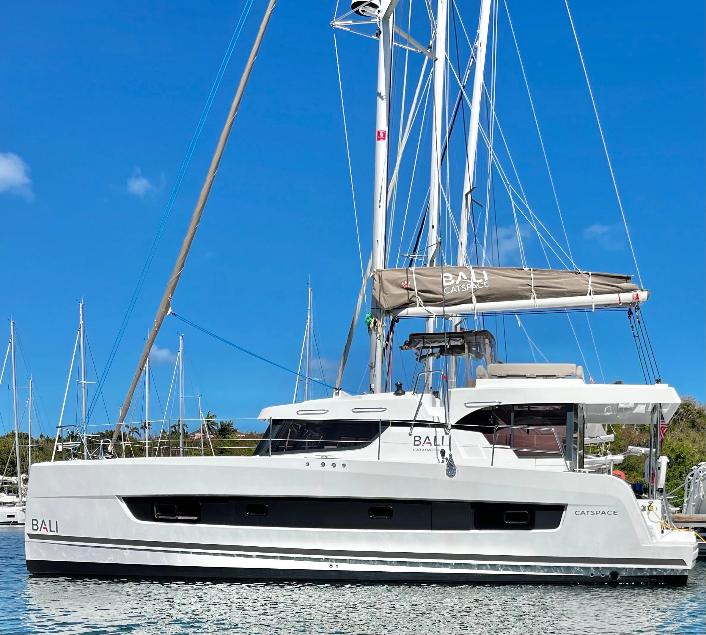 Bali Catspace 40 (Pinnacle Cat)  - 0