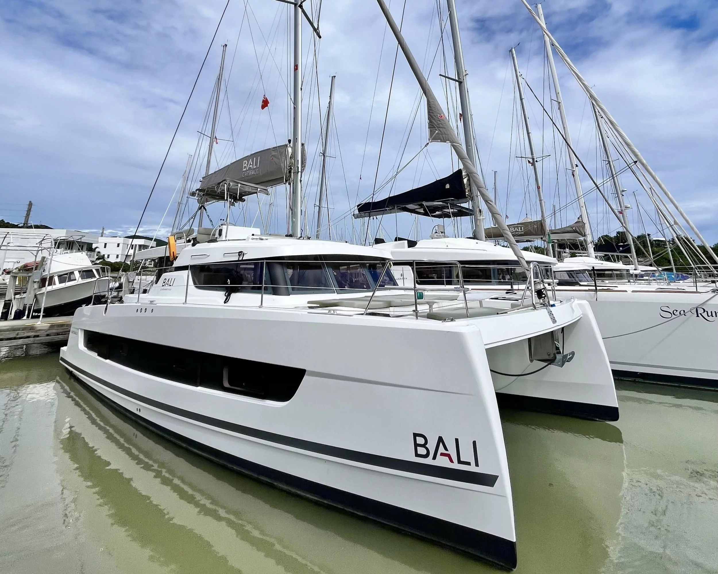 Bali Catspace 40 (TropiCat)  - 6