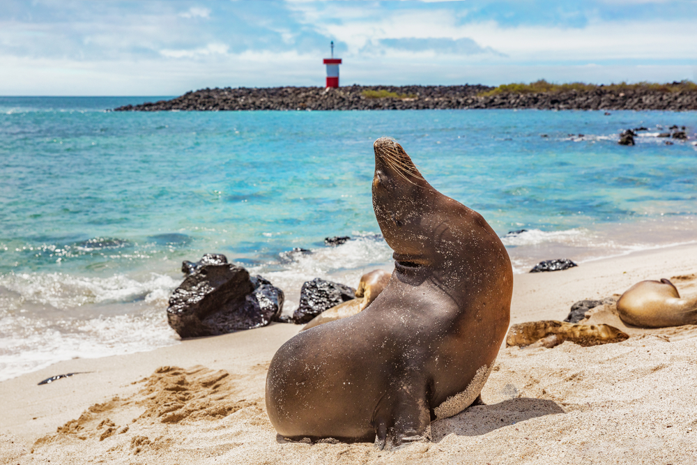 South America Sailing Cruises