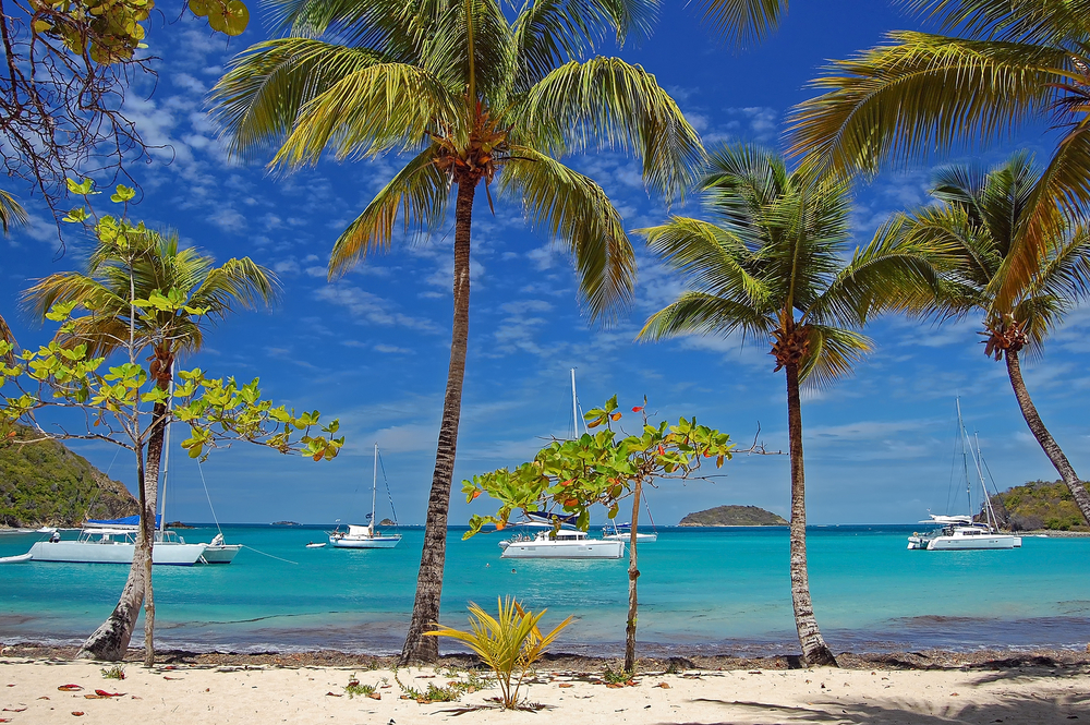 Martinique to the Grenadines Cabin Charter Sailing Cruise — photo 3