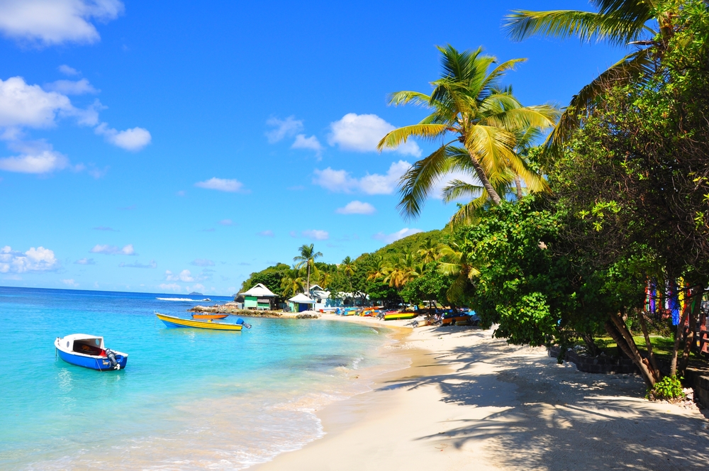 Martinique to the Grenadines Cabin Charter Sailing Cruise — photo 2