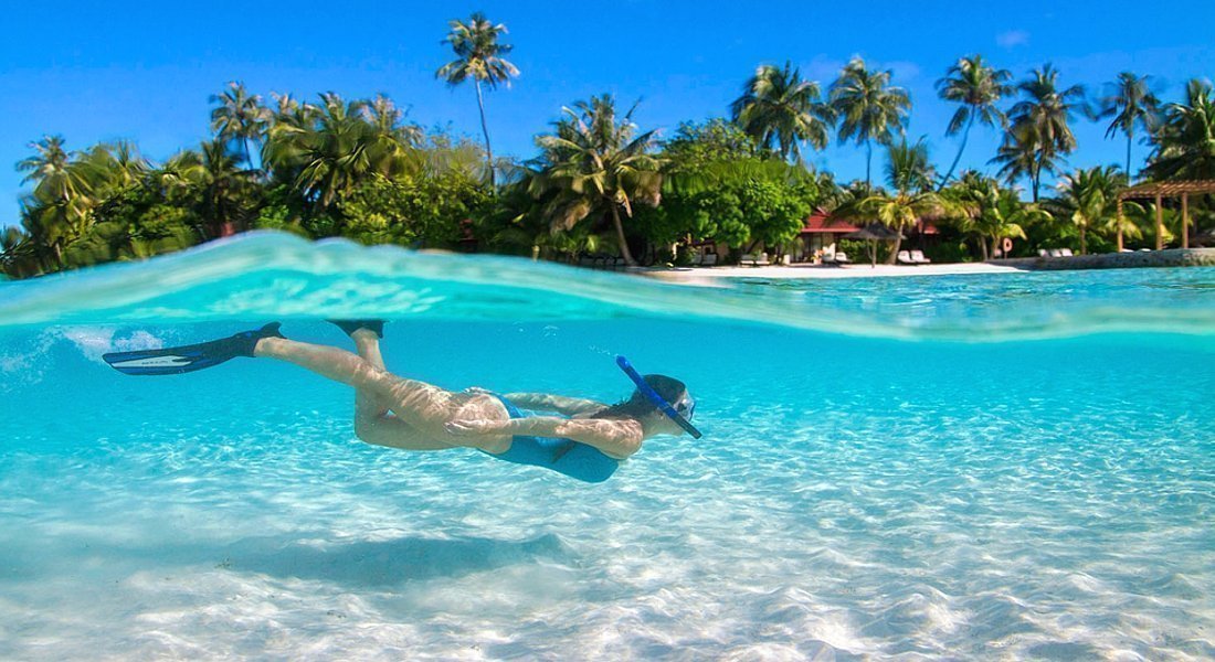 Crociera subacquea alle Maldive — photo 7