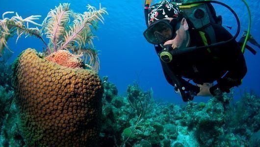 Seychellen Tauchen Segeltörn auf Gulet — photo 2