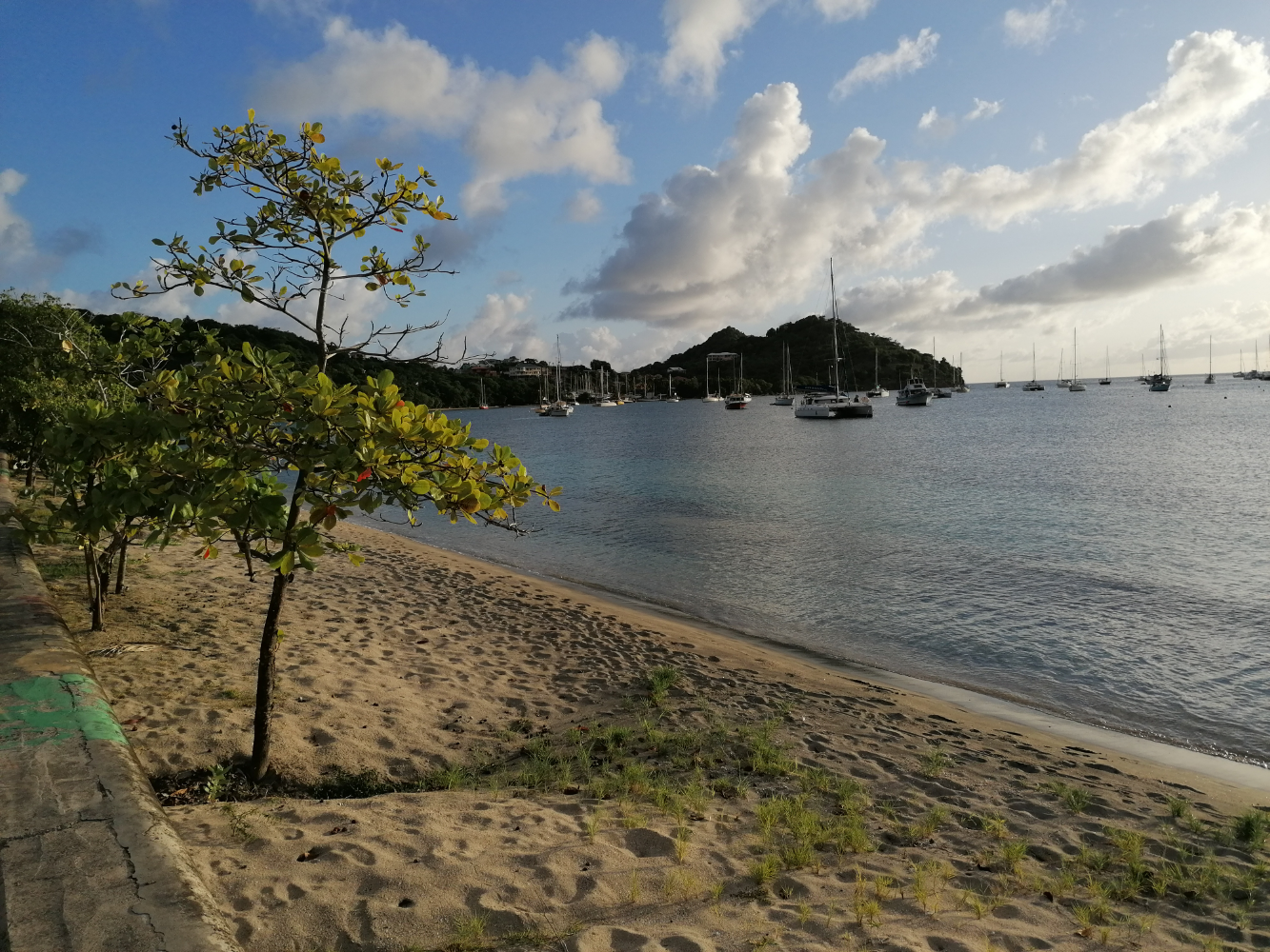 Tyrell Bay