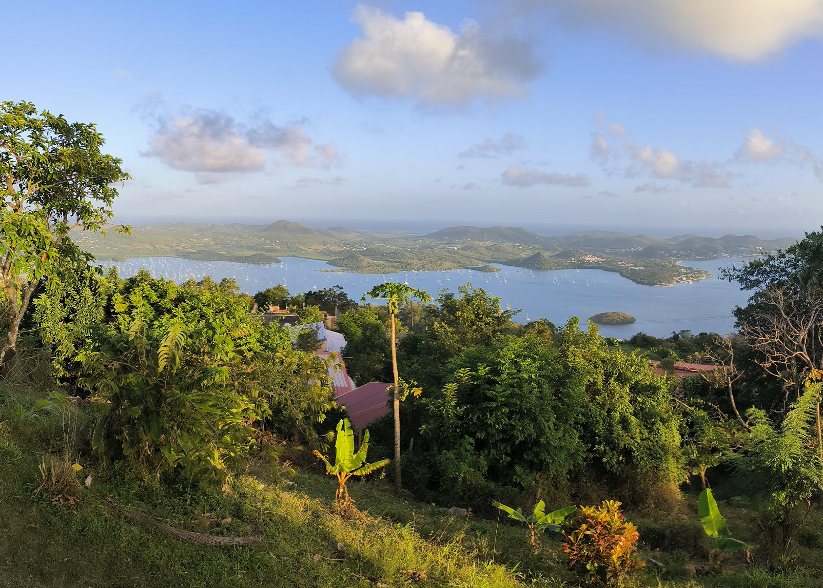 Le Marin - Ouest