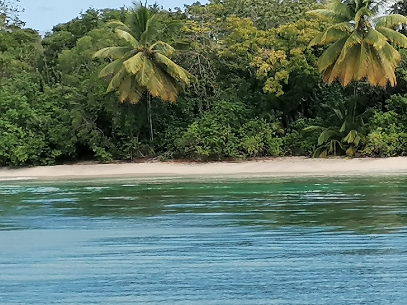 Anse Ballet