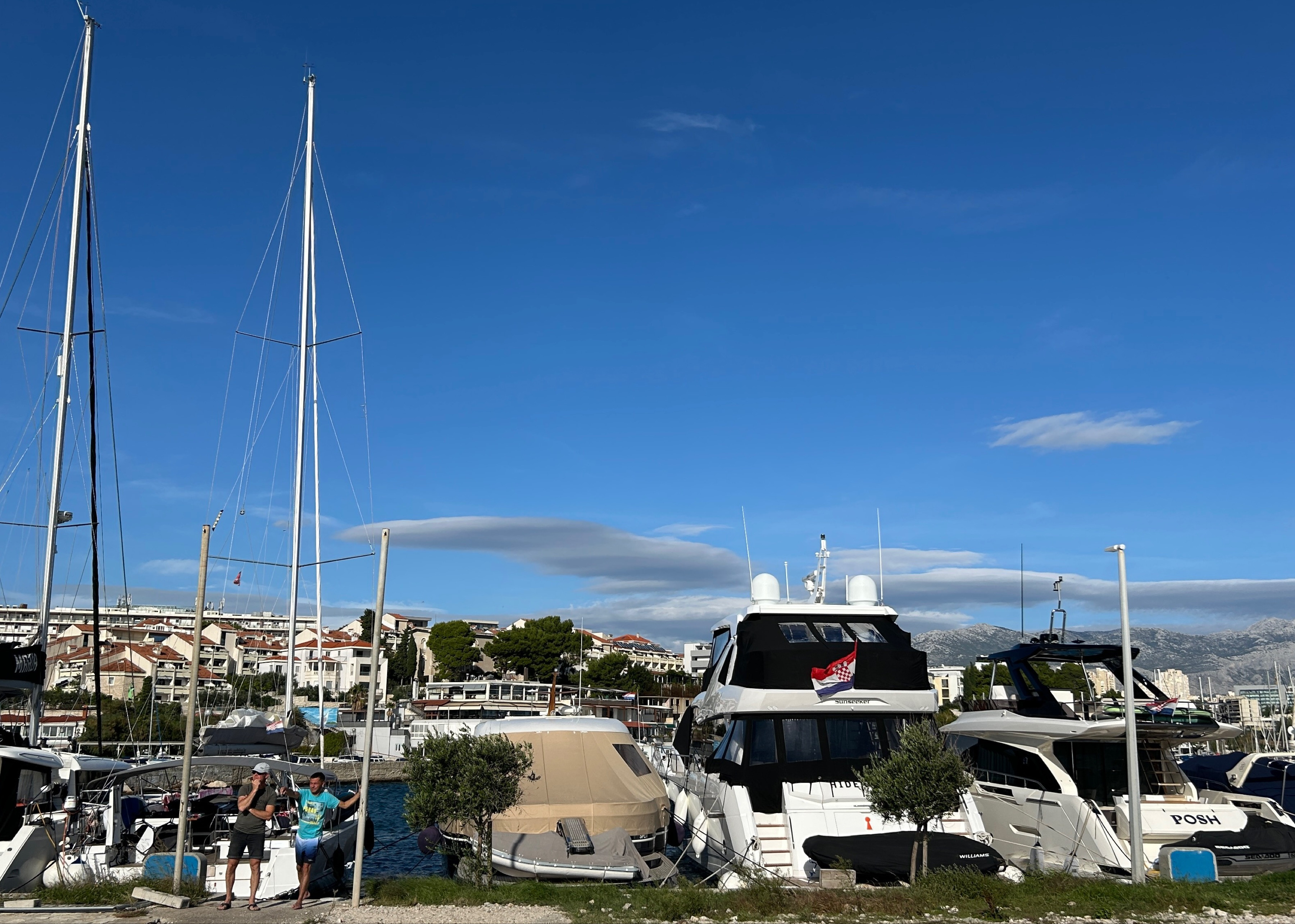 Zenta marina