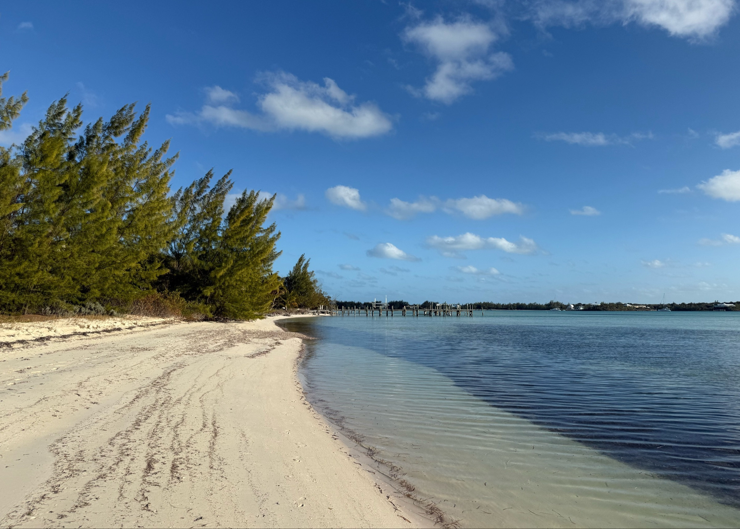 Coco bay