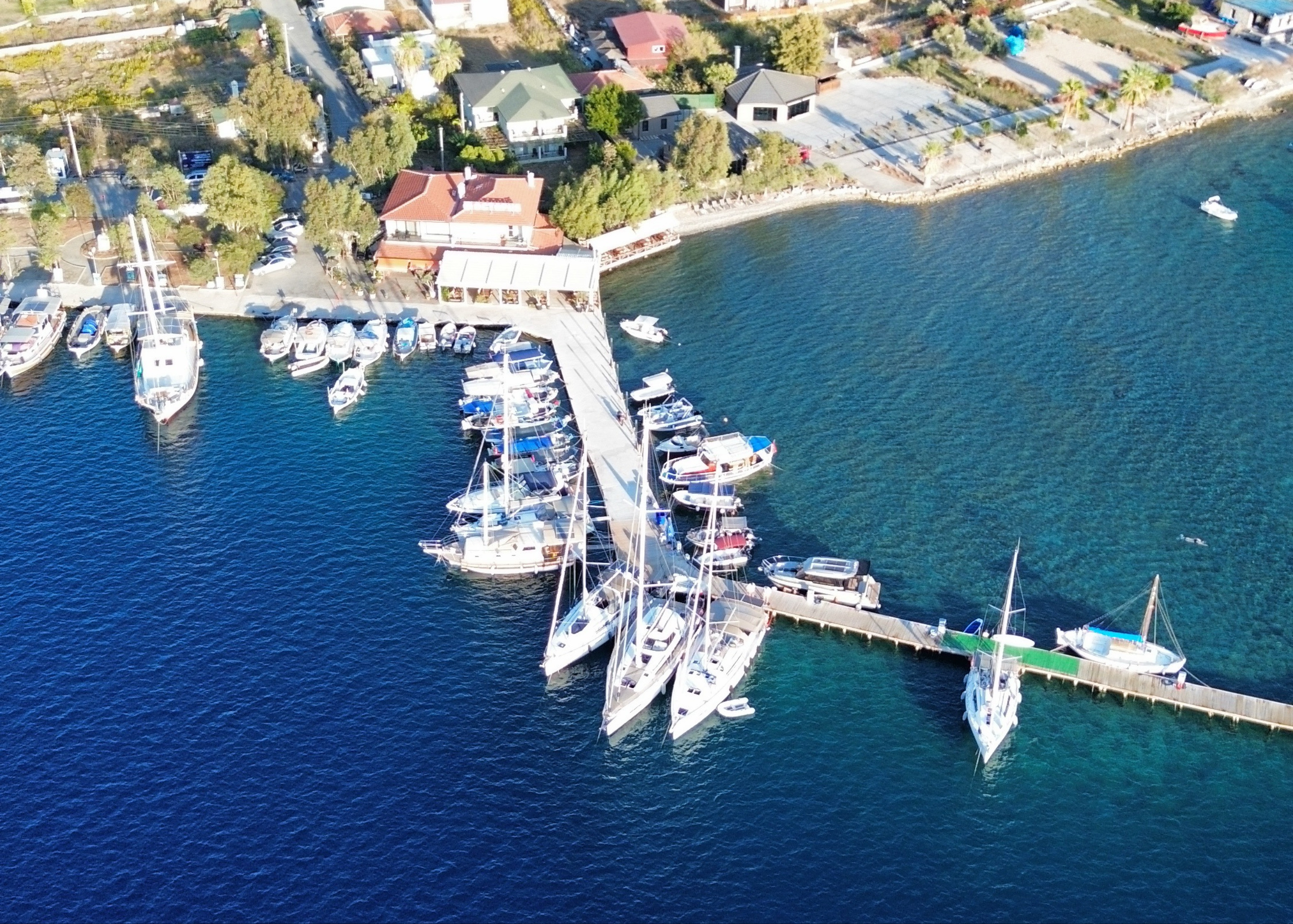 Octopus restaurant