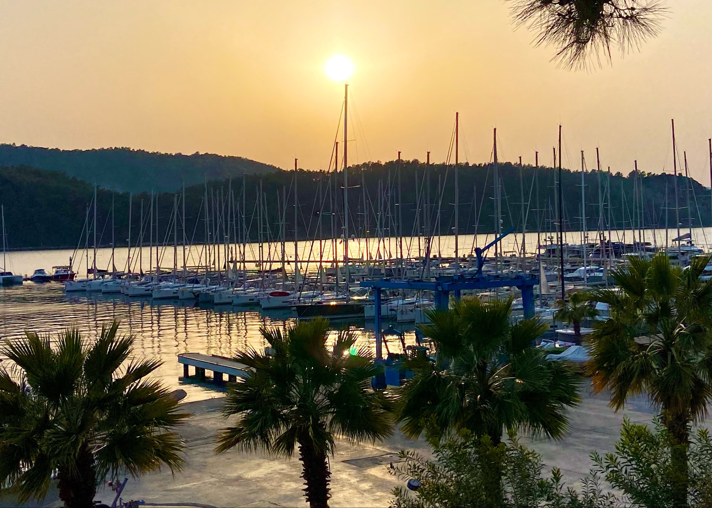 Marti Marina
